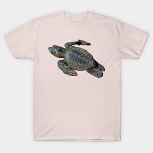 Baby Green Turtle T-Shirt